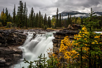 lenastevensphotography_alaska-6690