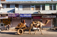 On the Streets, Jaipur