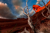 lenastevens_delicatearch