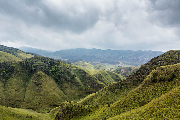 Dzukou Valley Trail, Nagaland, India