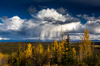 Rain_lenastevens-1