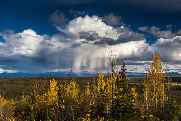 Rain_lenastevens-1