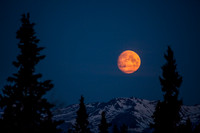 Moon Setting, Denali National Park, Alaska