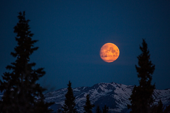 Moon Setting, Denali National Park, Alaska