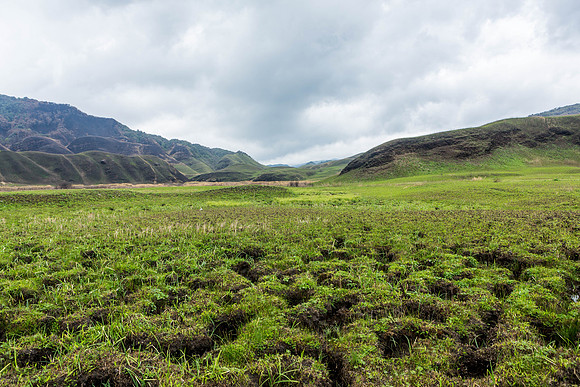 Dzukou Valley, Nagaland, India