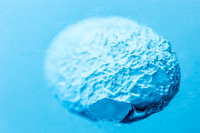 Ice Bubble, Mendenhall Glacier Cave, Juneau, Alaska