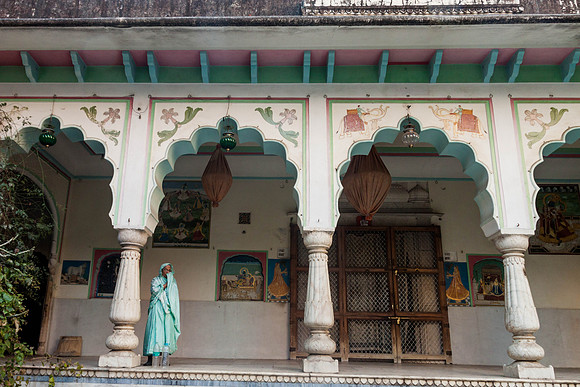 Quiet Sanctuary, Jaipur