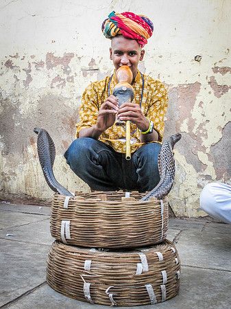 Snake Charmer, Pink City, Jaipur