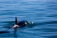 LenaStevensPhotography_Alaska-14